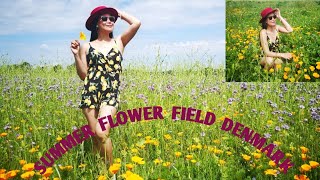 Summer Flower Field in DENMARK🇩🇰