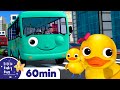 Wheels On The Bus And Ducks +More Nursery Rhymes and Kids Songs | Little Baby Bum