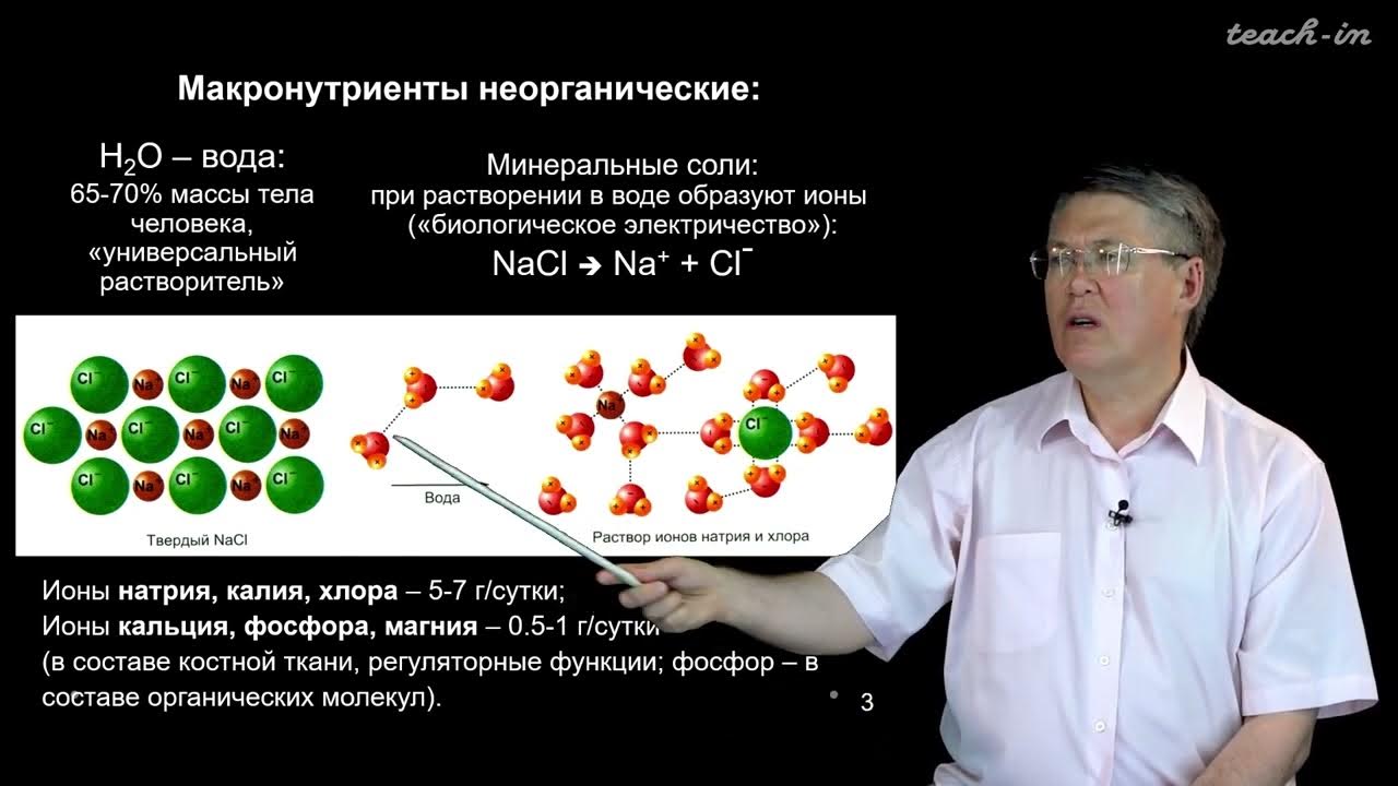 100 часов школьной биологии дубынин. Дубынин сахар. 100 часов школьной биологии. А. 100 часов школьной биологии.