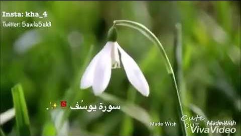 سورة يوسف" هيثم الملحاني 💖😻..!!$
