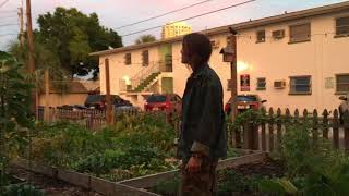 WOW Air Travel Guide Application- St Petersburg, FL