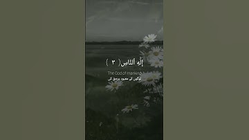 | سورة الناس | الشيخ شريف مصطفى  | قُلۡ أَعُوذُ بِرَبِّ ٱلنَّاسِ  |