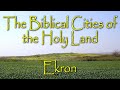 The biblical cities of the holy land ekron a city of the philistines