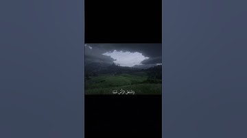 { ذِكْرُ رَحْمَةِ رَبِّكَ عَبْدَهُ زَكَرِيَّا ْ} تلاوة مريحة بصوت القارئ شريف مصطفى 🌿💗
