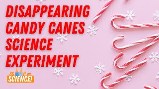Disappearing Candy Canes! Easy Science Experiment for Kids At Home
