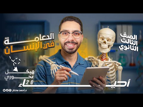 شرح وفرم الهيكل المحوري الدعامة في الإنسان أحياء تالتة ثانوي 2026