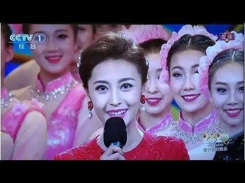 23岁，哈三中美女学霸成史上最年轻央视春晚主持人！ | Teme Channel