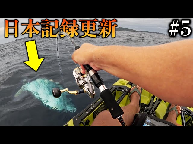 【超貴重】back number fish（改） 超貴重】back number fish（改） 超貴重】back number fish（改