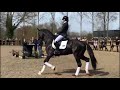 Lina and joyride at stallion presentation stal van de sande 2018