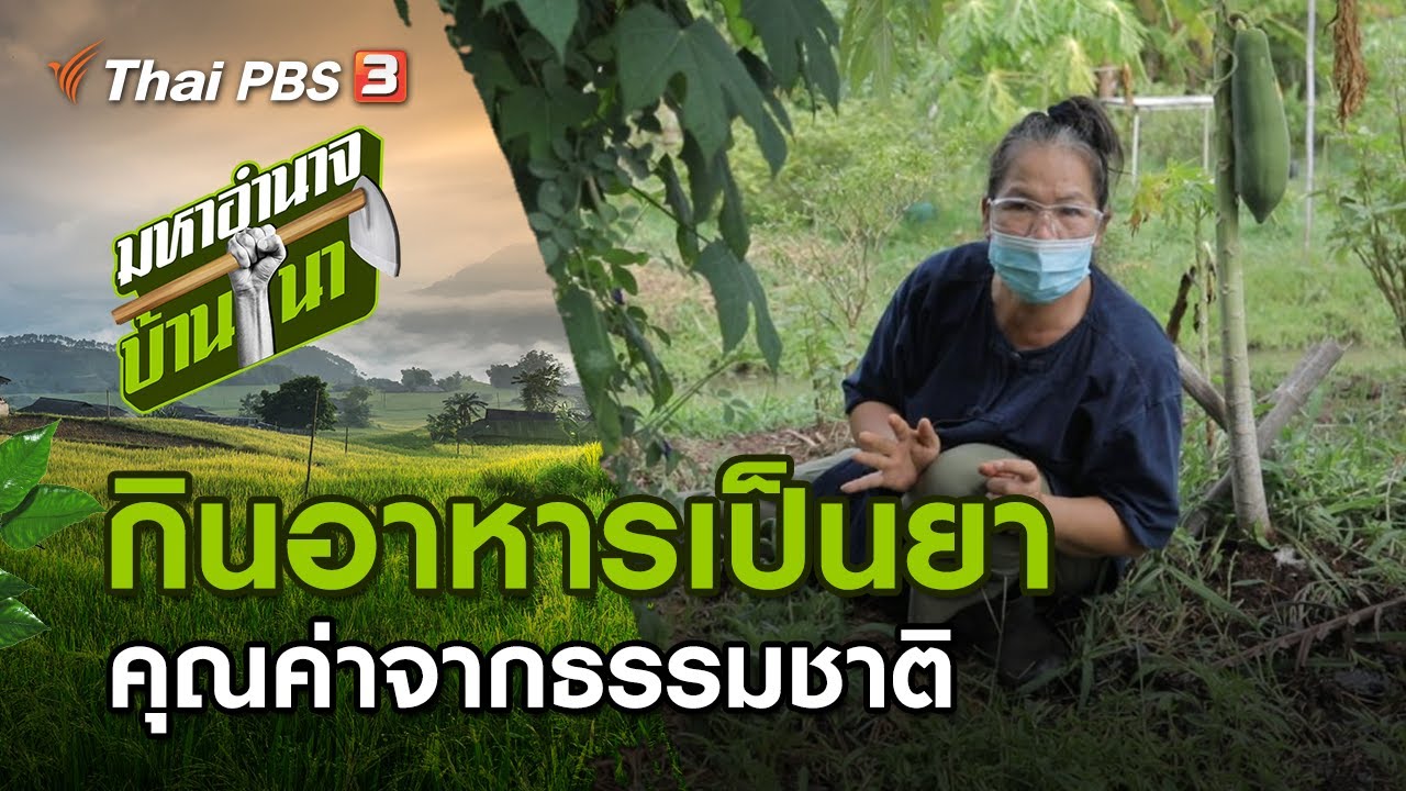 ห้างเกษรพลาซ่า 2022 พี่เกษร กินอาหารเป็นยา คุณค่าจากธรรมชาติ : มหาอำนาจบ้านนา