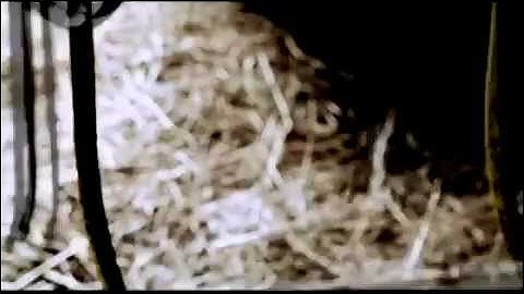 Two Hours Traffic - Stuck For The Summer (Official Video)