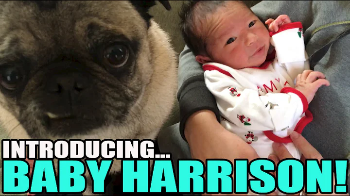 Introducing Baby Harrison!! Merry Christmas Everyo...