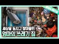 세상과 단절된 채, 2년째 쓰레기 더미 속에서 홀로 살아가는 여인┃Woman Lived in Junk for 2 Years, Isolated from the World