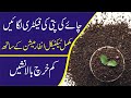 How to start Tea Factory with Low Investment