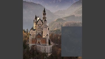 Pulsating Afternoon Walks