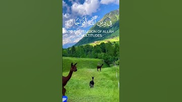 سورة النصر #جزء عم #المصحف #٢٠٢٥ #اليمن #اكسبلور