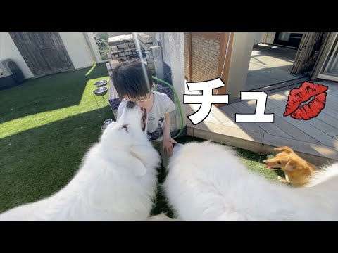 障がい者施設 ハンズハンズの子どもたちがプールに