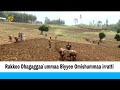 Rakkoo Dhagaggaa Ummaa Biyyee Omishummaa Irratti Rakkoo Dhagaggaa Ummaa Biyyee Omishummaa Irratti
