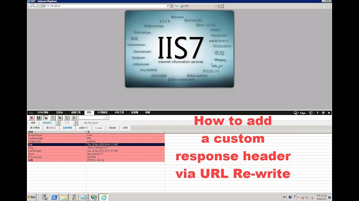 How to add a custom response header via IIS URL Re-write (Referrer-Policy)
