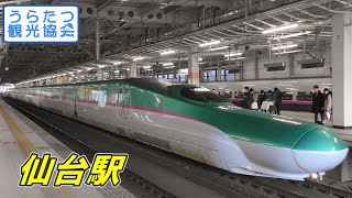 【4K】東北新幹線E5系「上り15:11発＝スジ不明」　仙台駅到着～出発　JR Tohoku Shinkansen