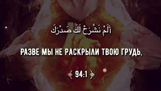 Разве мы не раскрыли твою грудь,и не освободили тебя от ноши,