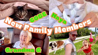 Getting Back to The Swing of Things/Grandma Settling In ~ Multi-Generational Family of 6 Vlog
