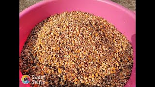 গিরিবাজ কবুতরের খাবারের মিক্সিং।Kobutorer Khabar r Mix।Pigeons food mix।।Kabutor ke danader khabar