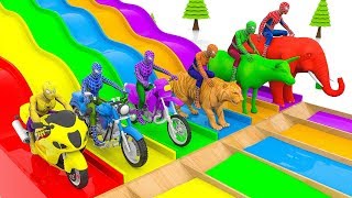 Video thumbnail of "Learn Colors with Spiderman Rides Street Vehicles and Animals Crossover Water Slide for Kids"