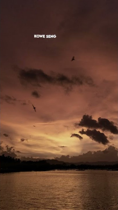 happy asmara - dalane gusti