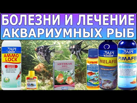 Болезни и лечение аквариумных рыб