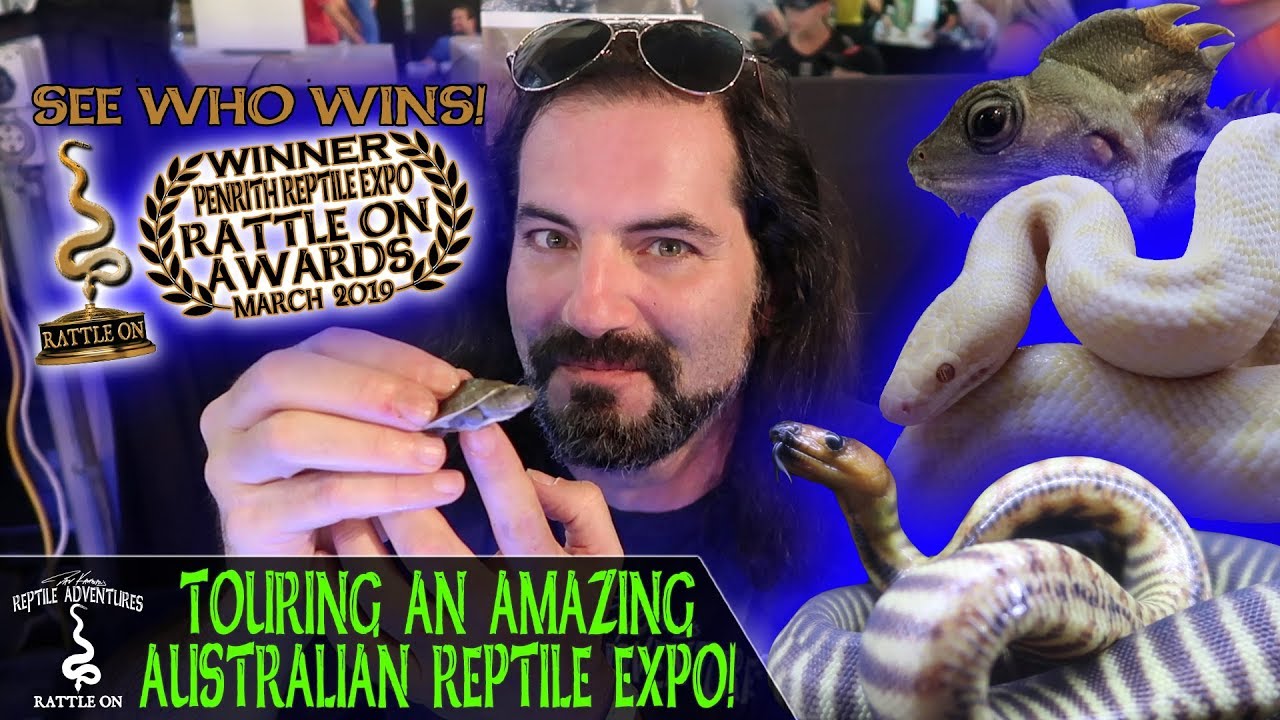 TOURING AN AMAZING AUSTRALIAN REPTILE EXPO! YouTube