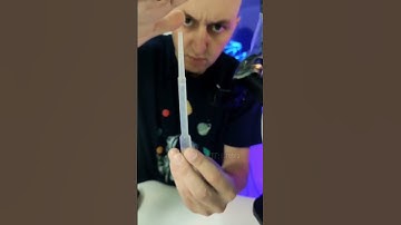 Nettle Under the Microscope 🔬