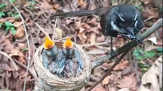 Mother plays with the baby when giving it food