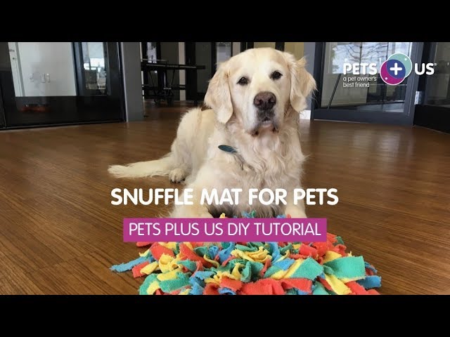 DIY: Make Your Dog (or Cat) a Snuffle Mat – The Honest Kitchen