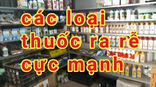 Các loại thuốc siêu ra rễ cực mạnh