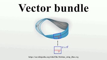 Vector bundle