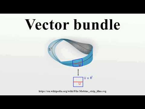 Vector bundle