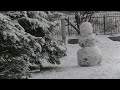 Много снега в Калининграде 2021