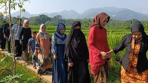 Pernikahan Tengah Sawah Di Sambut Petasan Di Kampung Garela Garut