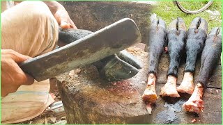 Amazing Cow Paya Cutting || Village Expert Butcher Cow Leg Cutting Skills