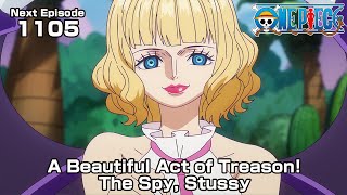 ONE PIECE episode1105Teaser 'A Beautiful Act of Treason! The Spy, Stussy'