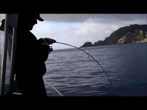 snapper-fishing-new-zealand:-big-snapper-on-soft-bait.-heath-menefy-pb
