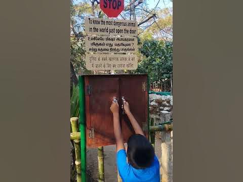 Dangerous animal | Harsh Vish | #animals #chennai - YouTube