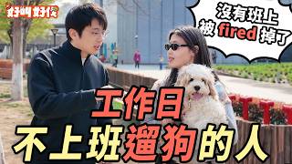 上海街頭採訪！工作日下午在徐匯濱江遛狗的人是幹嘛的？｜好叫好伐
