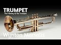 Capture de la vidéo The History Of The Trumpet