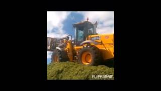 Silage 2016