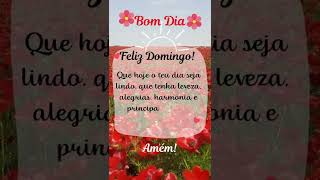 Feliz Domingo Mensagem De Bom Dia