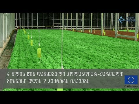 ქართული ბოსტნეული ევროპული ტექნოლოგიით