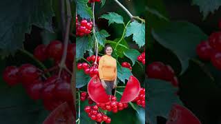 Satisfying Cranberries #shorts#asmr#amazing#funplay#magictricks#trending @annelynpiamonte