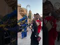 دفيلي الدشيرة في قطر